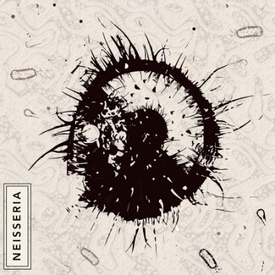 Neisseria — Brainless