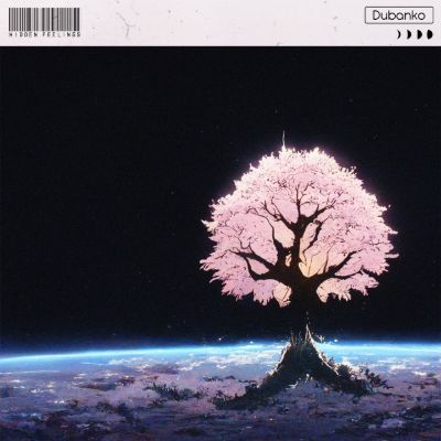 Hidden Feelings — Dubanko