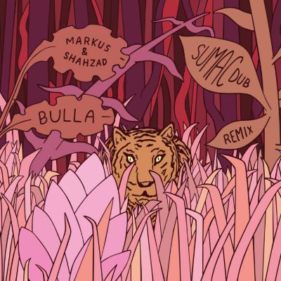 Bulla (Sumac Dub remix) — Markus and Shahzad